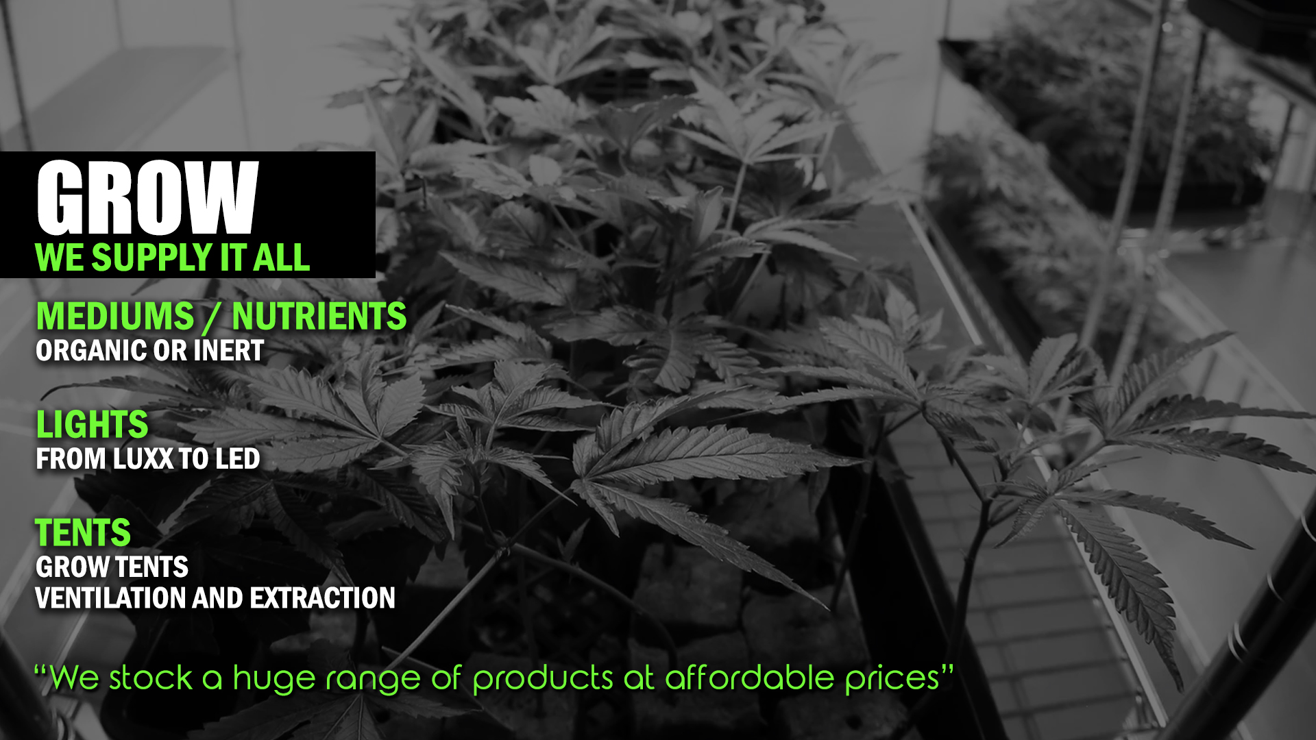 Cannabis, Dagga, Grow. Supplies. Cannabis nutrients, cannabis pesticide 